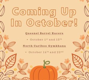 What's Happening in the Park