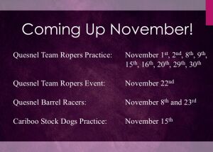Coming Up November!