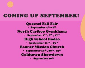 What's Happening at Alex Fraser Park 